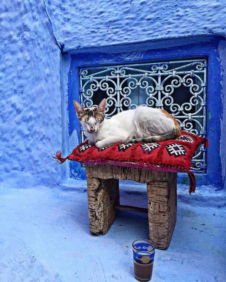 Côte Maroc